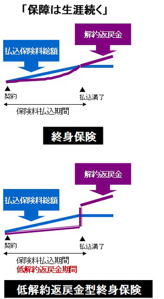 低解約返戻金型終身保険のメリットは？